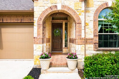 3839 Ox-Eye Daisy, San Antonio, TX 78261 - photo 3