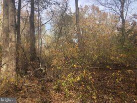 15 ACRES River Rd, Unger, WV 25411 - photo 6