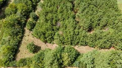 0 Carrell Lot 2 St unit 39857295, Tomball, TX 77375 - photo 3