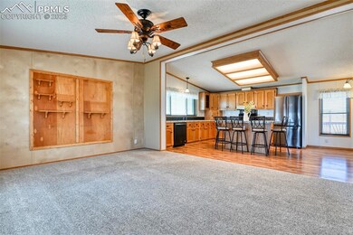 10120 Horseback Trail, Peyton, CO 80831 - photo 7