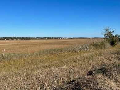 Marsh View