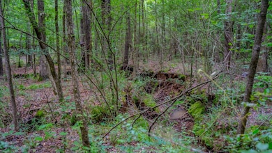 0000 Big Creek Rd, Byram, MS 39212 - photo 6