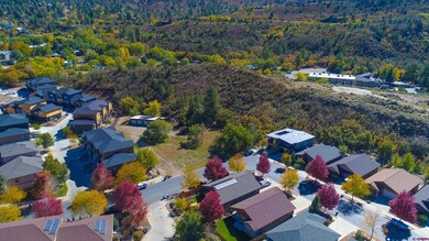 170 Metz Ln, Durango, CO 81301 - photo 6