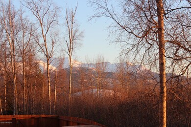 Mountain and inlet views