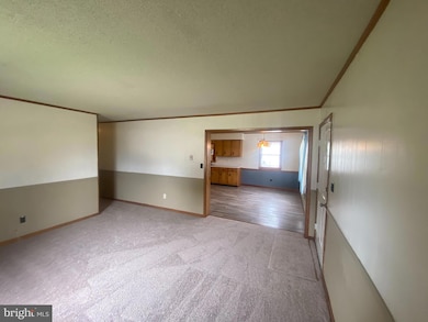 131 Loganberry Ln, Rehoboth Beach, DE 19971 - photo 5