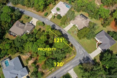 2 Primula Ct W, Homosassa, FL 34446 - photo 2