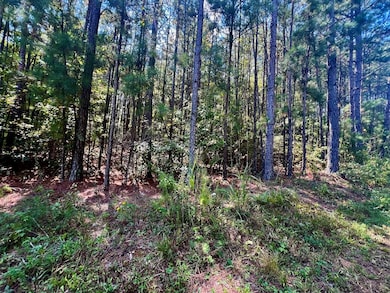 1150 Denton Rd unit 371, Douglasville, GA 30134 - photo 2