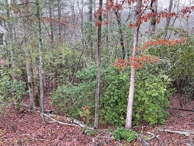 Lot 23