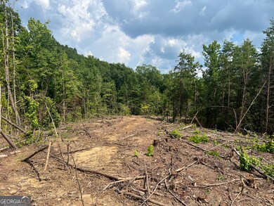 2055 Blacks Bluff Rd SW, Rome, GA 30161 - photo 7