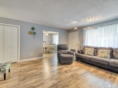 251 Midway St, Dundee, MI 48131 - photo 5