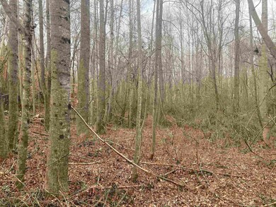 163 Rockingham Rd, Duncan, SC 29334 - photo 6