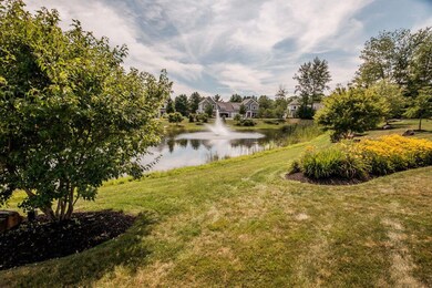 Pond View 1