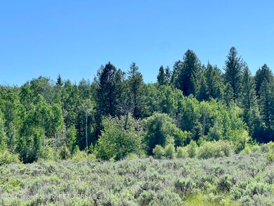 IMG_3201