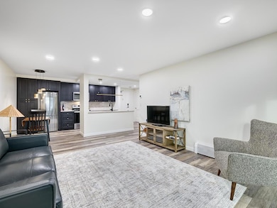 334 Cherokee Ave unit 103, Saint Paul, MN 55107 - photo 6