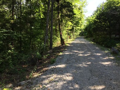 Lt 39-42 Chestnut St, Burnside, KY 42519 - photo 2