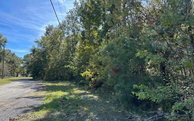 0 SW Bozeman Ct unit 129011, Lake City, FL 32024 - photo 3