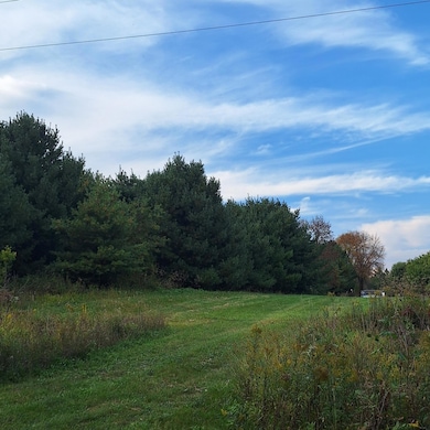 1175 207th Pic 4.jpg