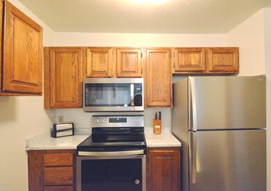 Kitchen stove and frdge