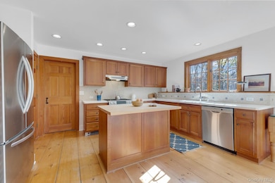 331 Grape Hollow Rd, Holmes, NY 12531 - photo 7