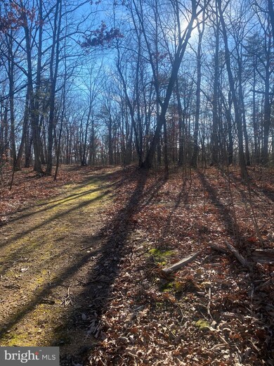 0 Parsons Rd unit WVBE2004770, Hedgesville, WV 25427 - photo 3