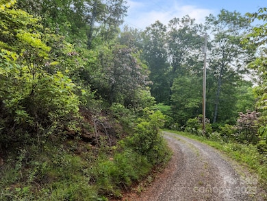 10 Turkey Trot Trail, Sylva, NC 28779 - photo 4