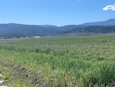 9888 Utah 28, Levan, UT 84639 - photo 3