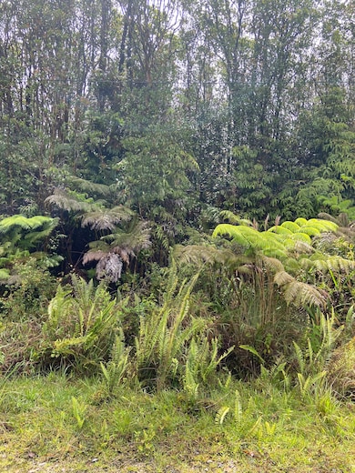 0 Road 4 unit 724078, Volcano, HI 96785 - photo 3