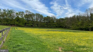 19240 Walsh Farm Ln, Bluemont, VA 20135 - photo 6