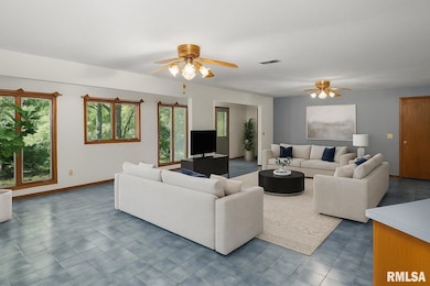 9554 Rock River View, Colona, IL 61241 - photo 6