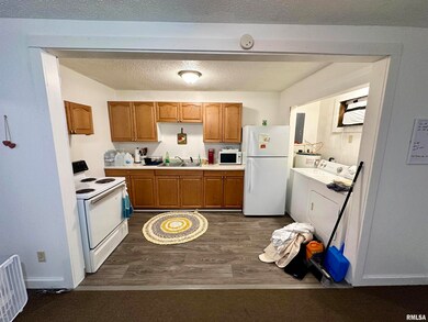 311 & 313 Main St, Meredosia, IL 62665 - photo 7