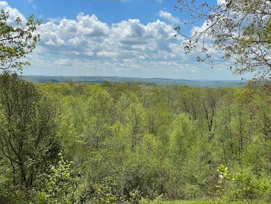 170 Rabbit Hill Rd, New Preston Marble Dale, CT 06777 - photo 5