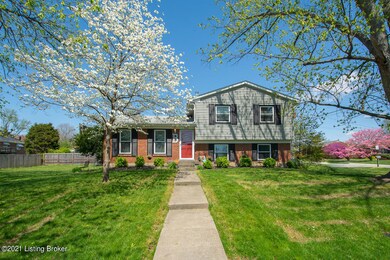 9303 Hudson Ln, Louisville, KY 40291 - photo 6