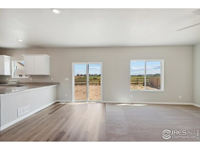 7406 Crystal Ave, Frederick, CO 80530 - photo 6