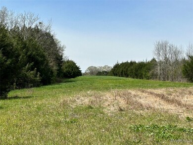 0 Highway 80, Gallion, AL 36732 - photo 7
