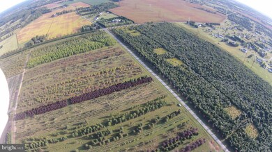 0 Old Telegraph Rd unit 1001000523, Chesapeake City, MD 21915 - photo 4