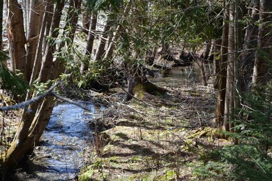 Lot 13 Brooks Park Rd, Stewartstown, NH 03576 - photo 3