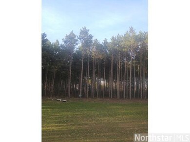 16442 223rd St, Little Falls, MN 56345 - photo 2