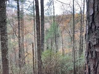 Lot 1375 Lyric Ln, Ellijay, GA 30540 - photo 6