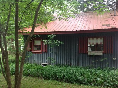 Check out my red tin roof!  So nice on a rainy day!