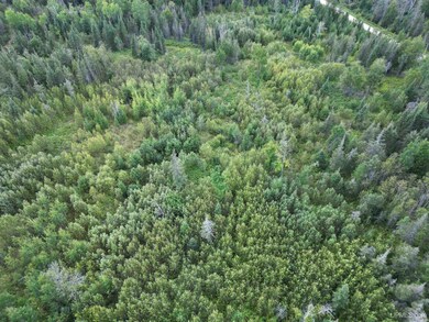 TBD Triple Creek Rd, Cornell, MI 49818 - photo 5