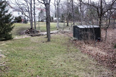 IMG_7228.JPG