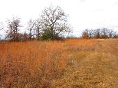 241 Perkins Rd, Poolville, TX 76487 - photo 3