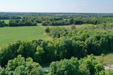 DJI_0910