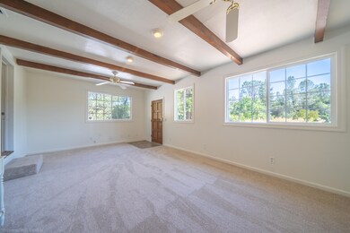 Interior-3