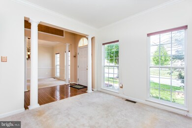 6808 S Dewey Ct, Fredericksburg, VA 22407 - photo 6