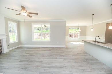 741 Pearson Town Rd, Moore, SC 29369 - photo 5