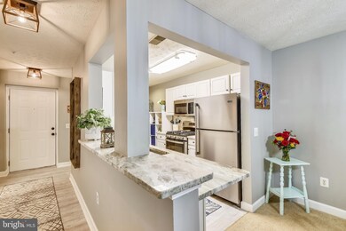 655 Burtons Cove Way unit 1, Annapolis, MD 21401 - photo 7