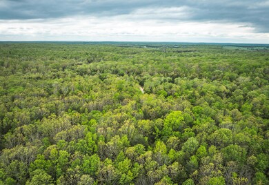 DJI_20250503143911_0531_D