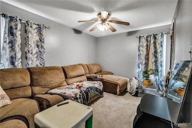 113 Colonial Ave, Buffalo, NY 14217 - photo 4