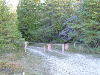 Rabbits Back Property (11)